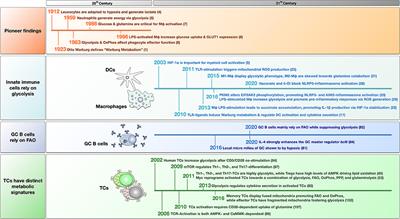 Immune Metabolism–An Opportunity to Better Understand Allergic Pathology and Improve Treatment of Allergic Diseases?